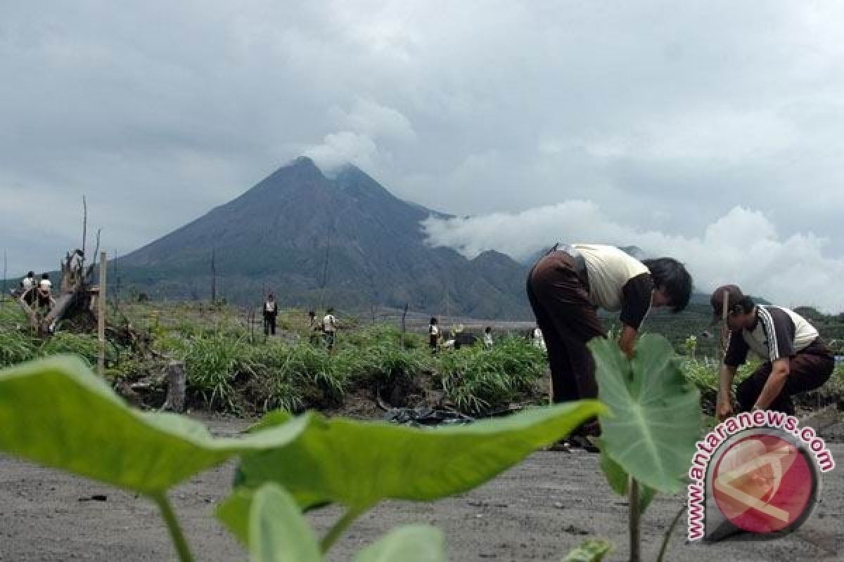 Peneliti: daerah resapan lereng Merapi perlu diproteksi 
