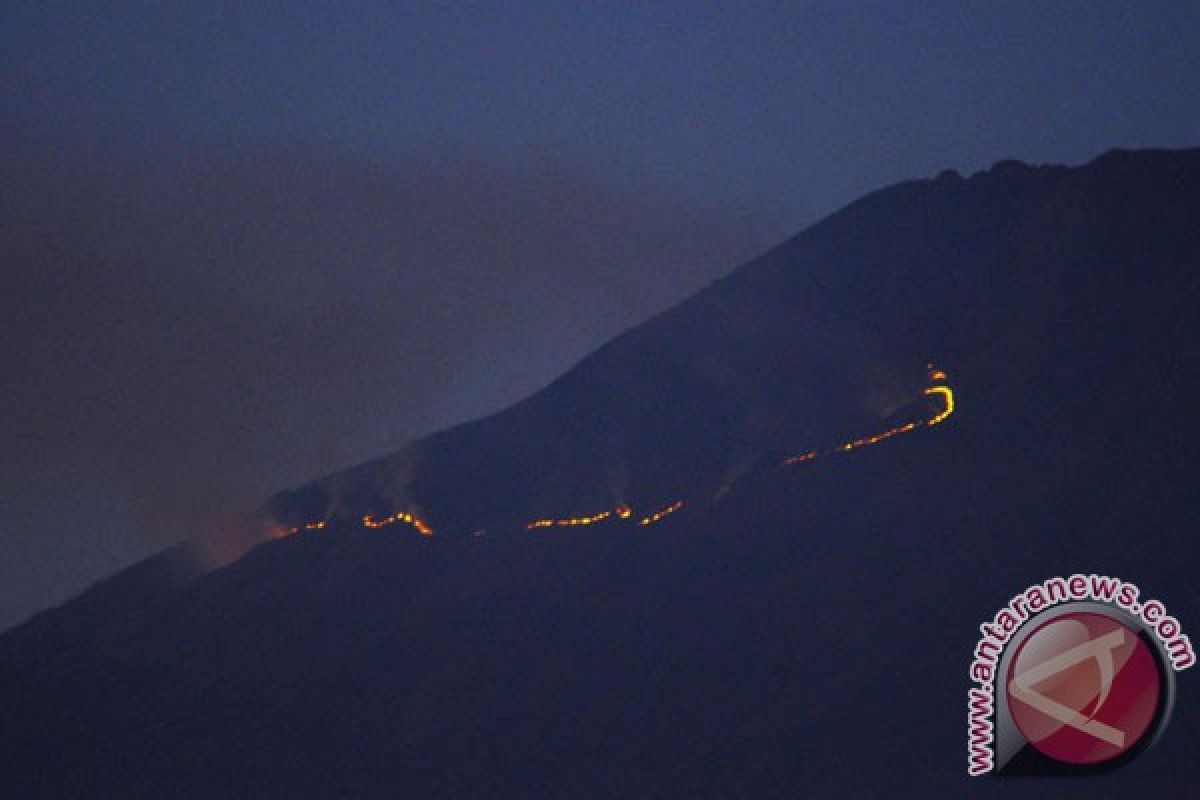 Tim SAR evakuasi mayat di lereng Sumbing