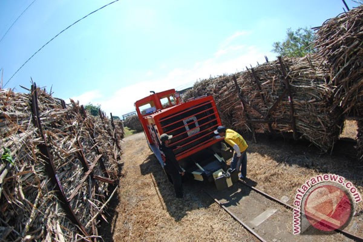 "Temanten tebu" tradisi tandai musim giling Pabrik Gular Rendeng