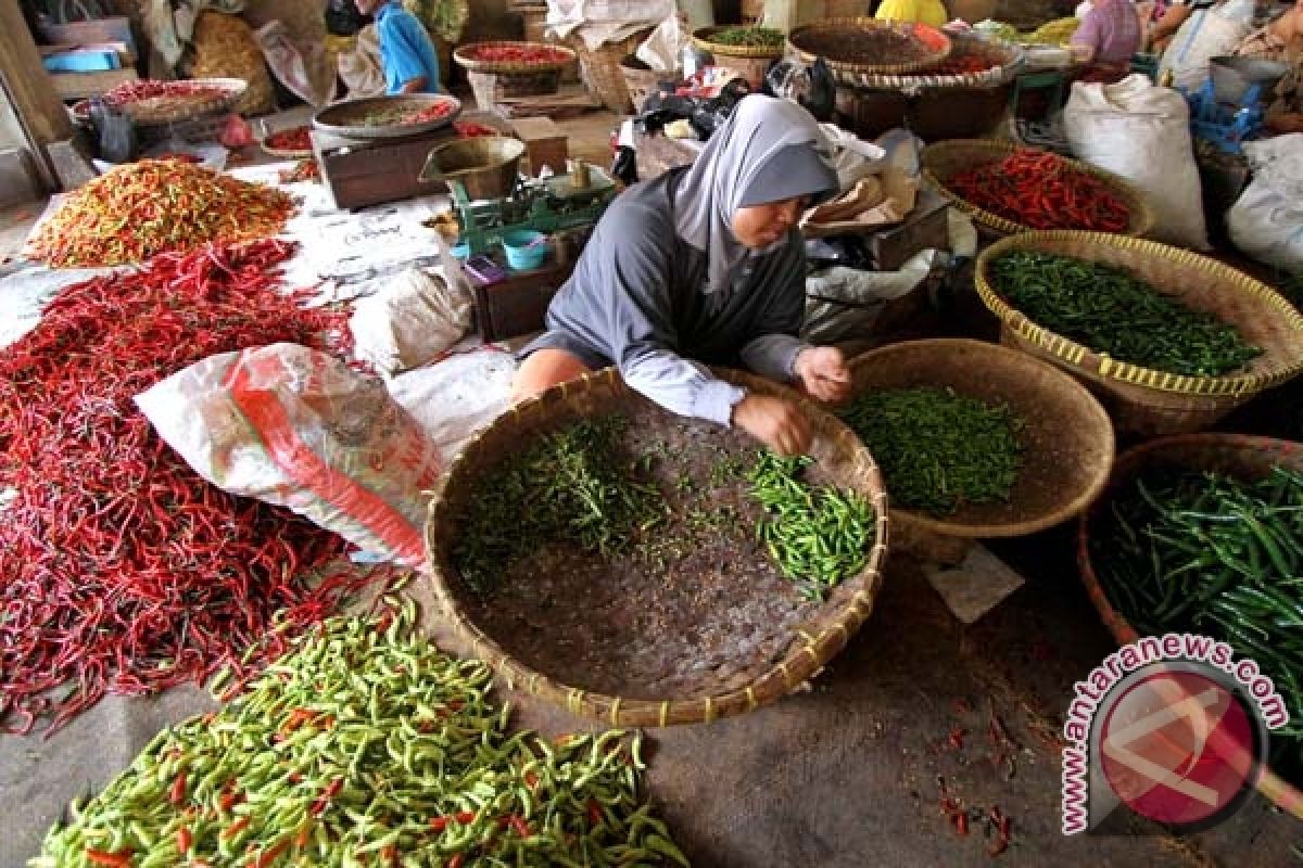 Disperindagkop Bantul pastikan Stok cabai tersedia