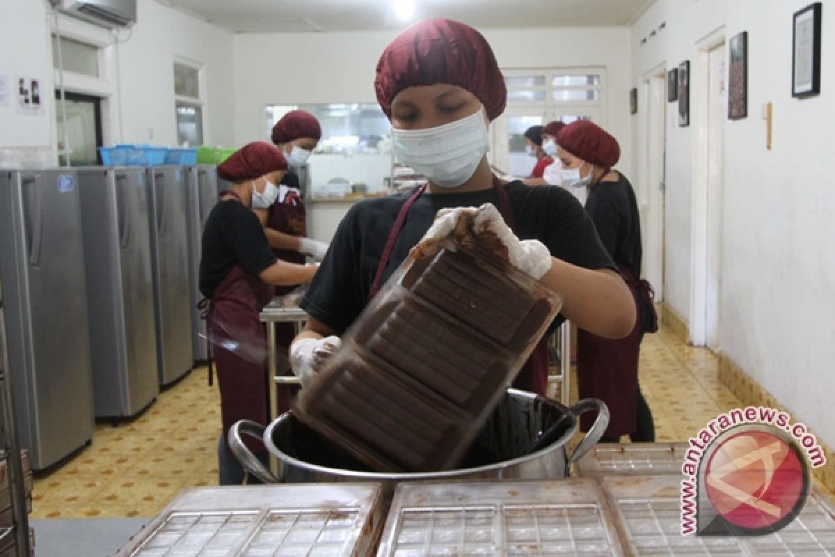 Kulon Progo bantu peralatan produksi bubuk cokelat