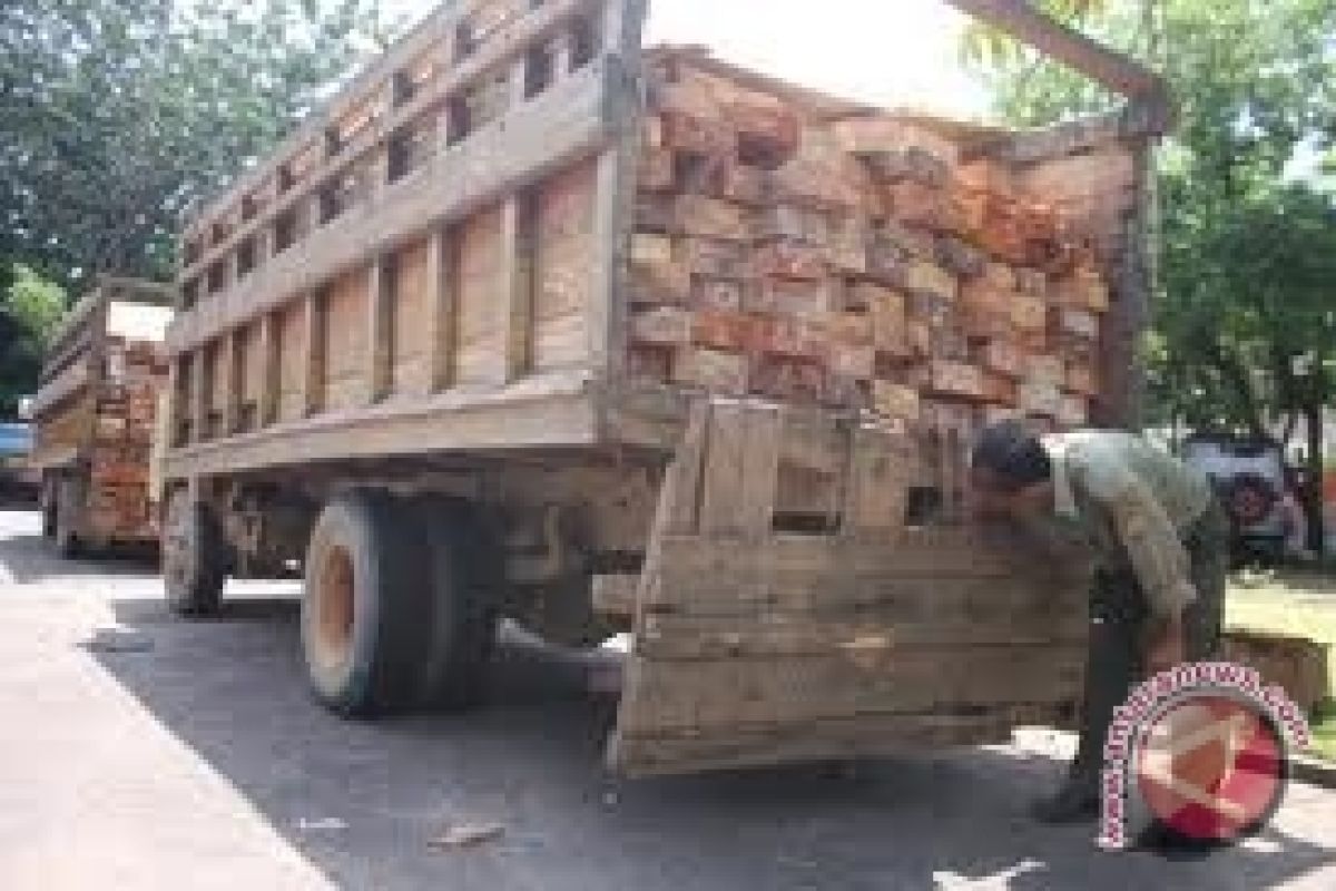 Polisi amankan sopir truk mengangkut kayu ilegal