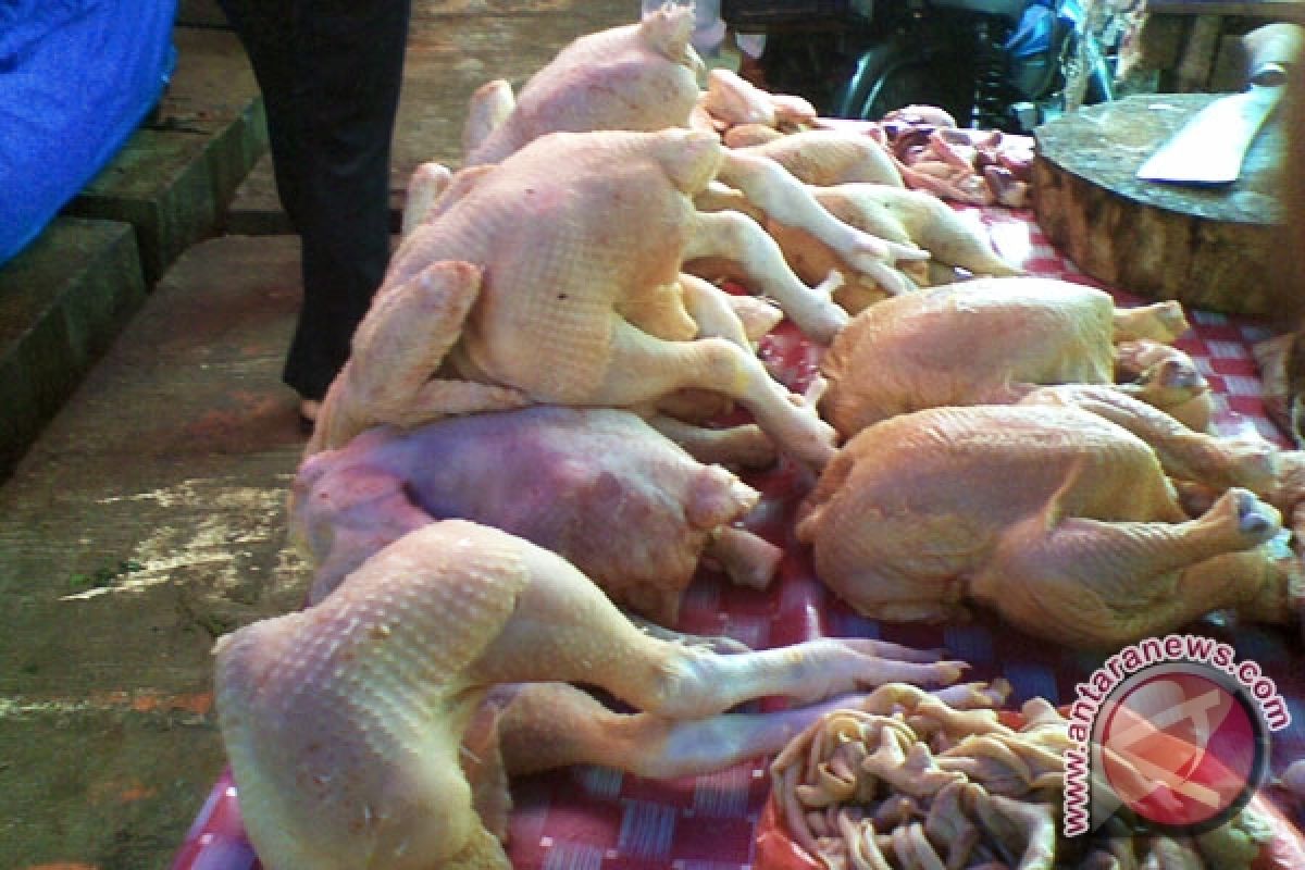 Harga Daging Ayam Di Mukomuko Bertahan Tinggi 