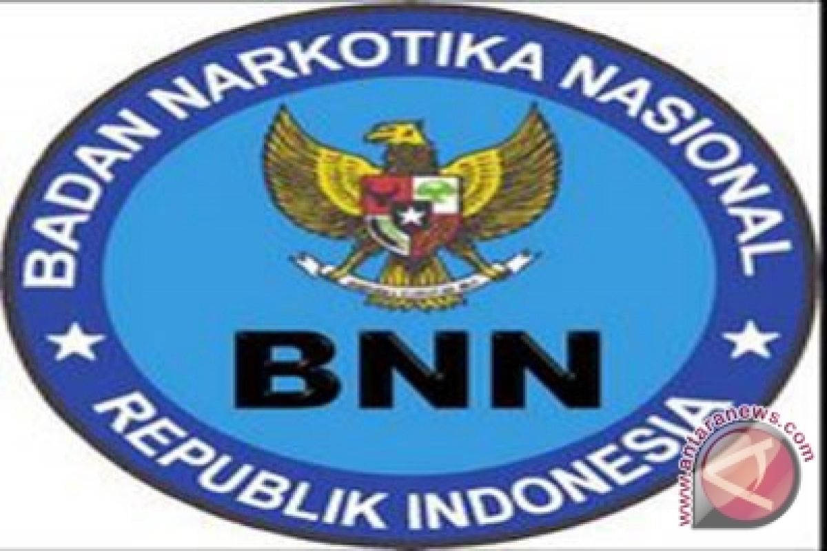 Pemkab Kulon Progo kaji pembentukan BNNK 