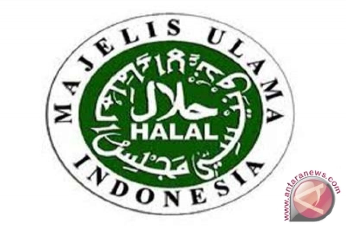 MUI buka layanan online untuk sertifikasi halal