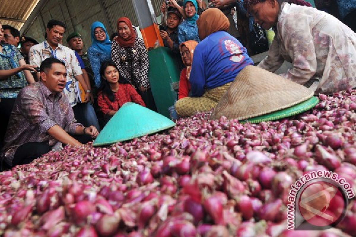 Pemerintah akan benahi tata niaga bawang