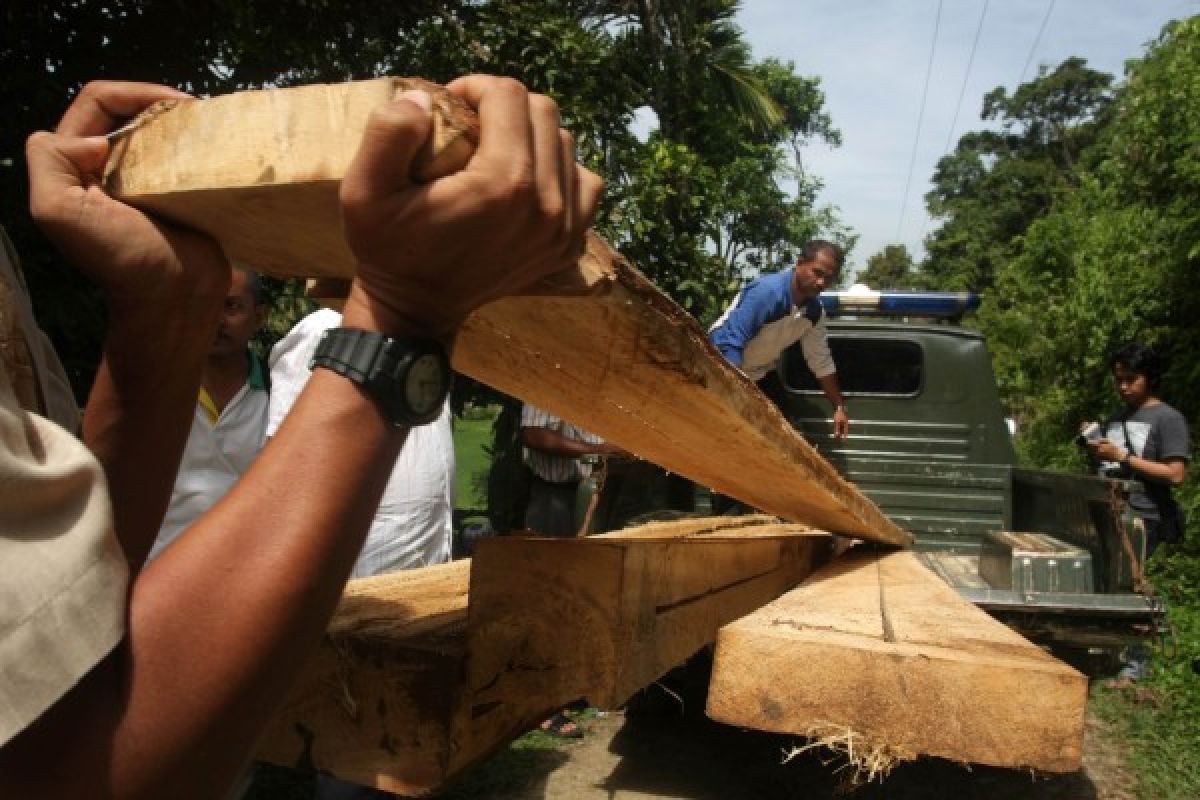 Usut Pembalakan Liar, Polres Agam Libatkan Ahli