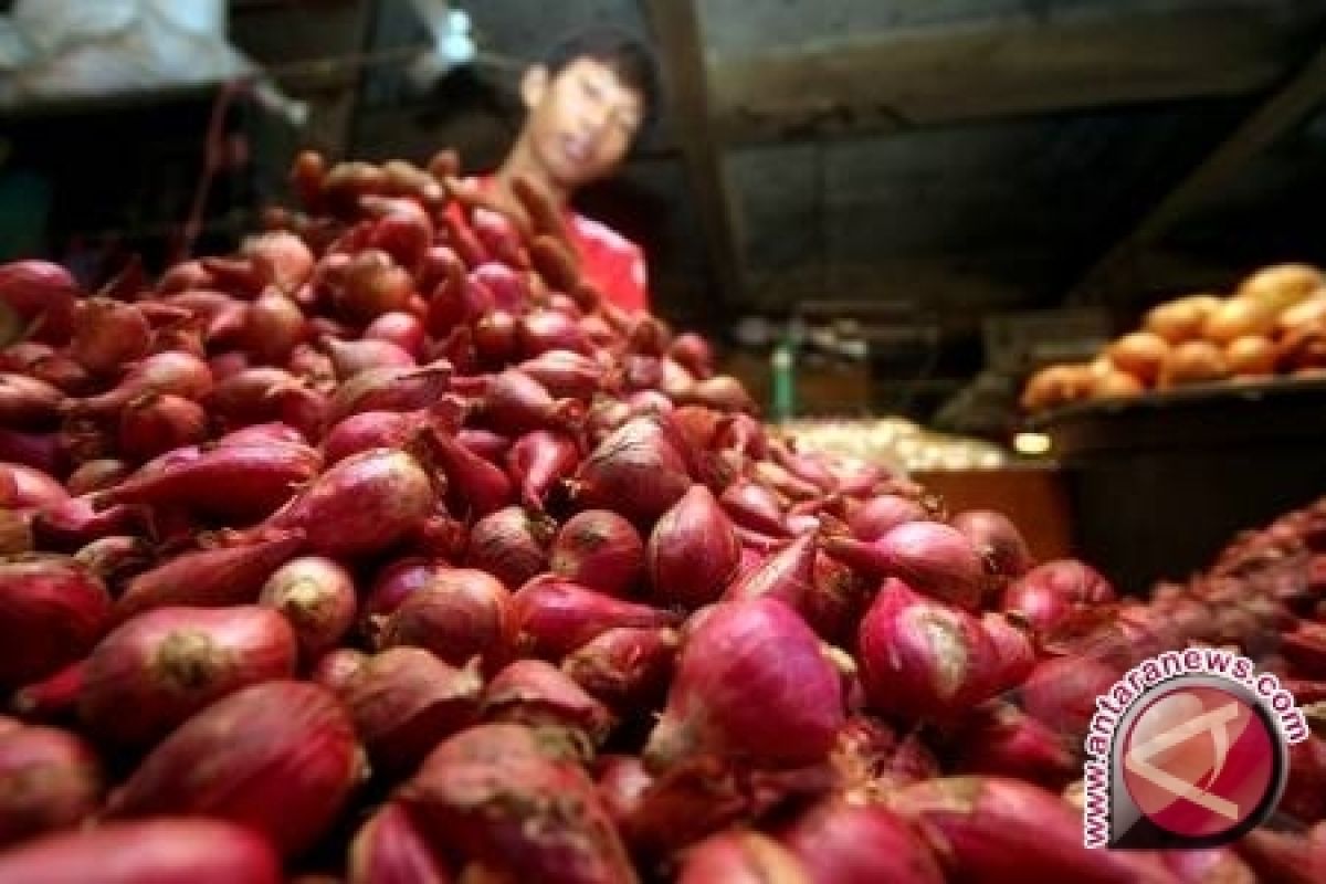 Legislator harapkan pemerintah awasi harga bawang merah 