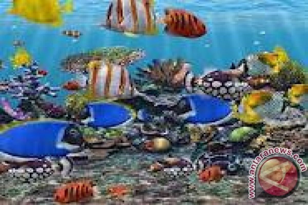 Aquarium fish exports worth more than four thousand dollars 