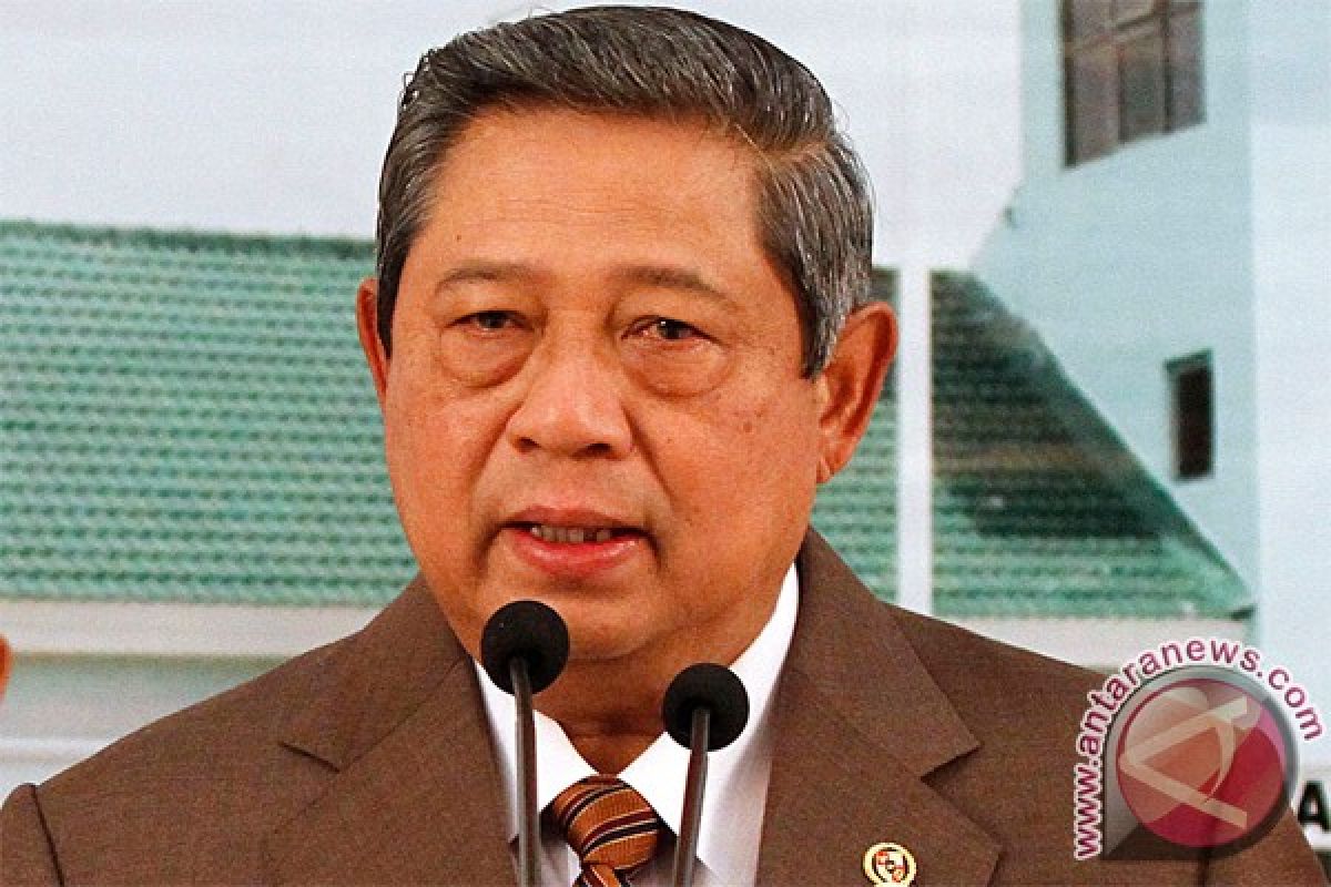 Yudhoyono asks minister to investigate Papua problems