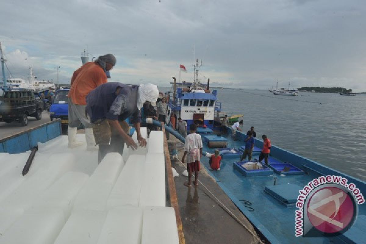 Harapan Indonesia Menjadi Negara Penghasil Ikan Terbesar