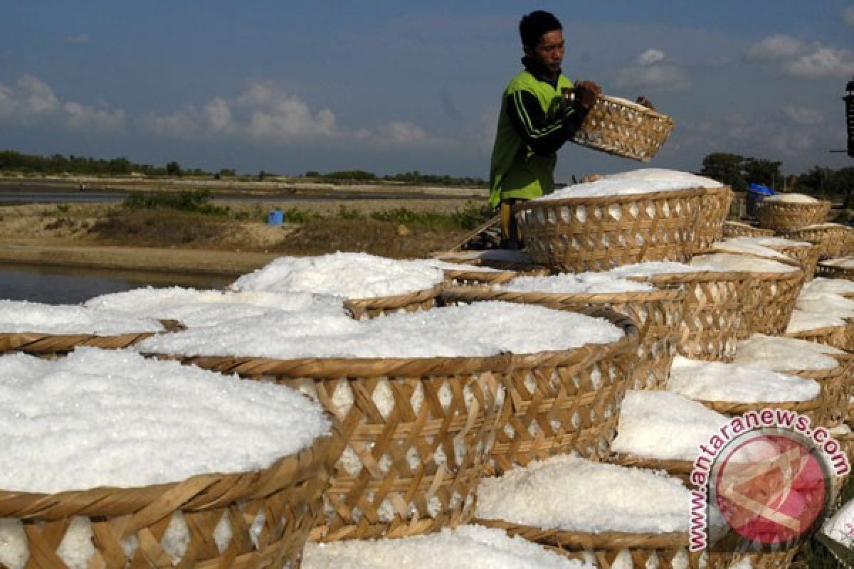 Presiden ingin kembalikan Madura jadi pulau garam 