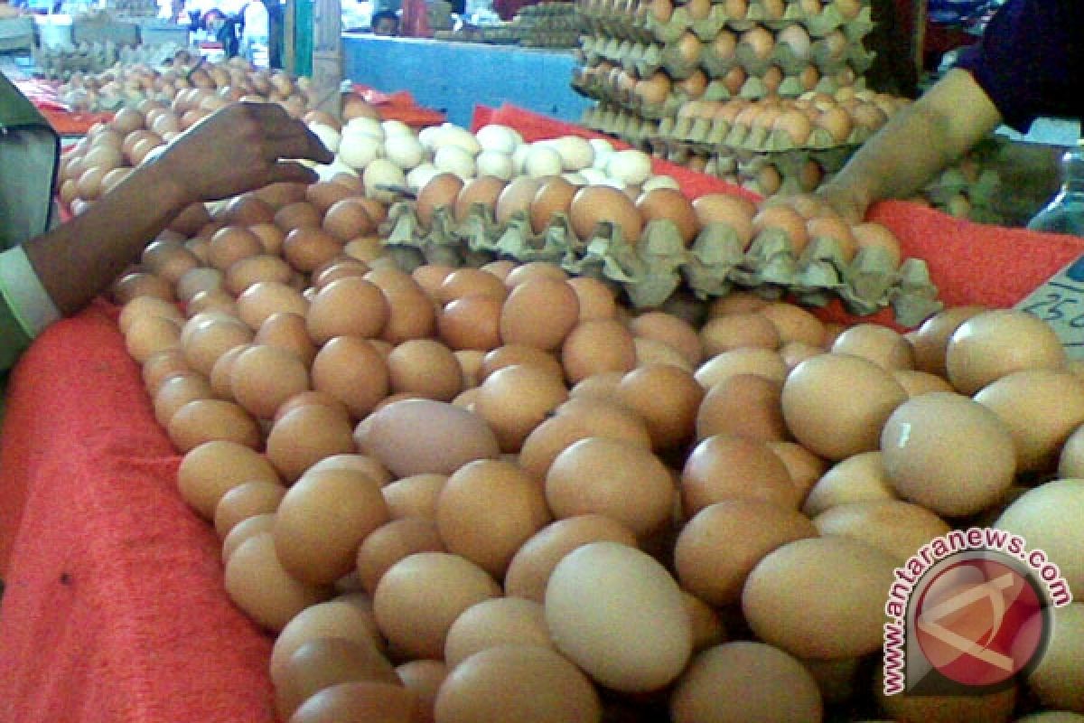 Warga keluhkan kenaikan harga telur ayam