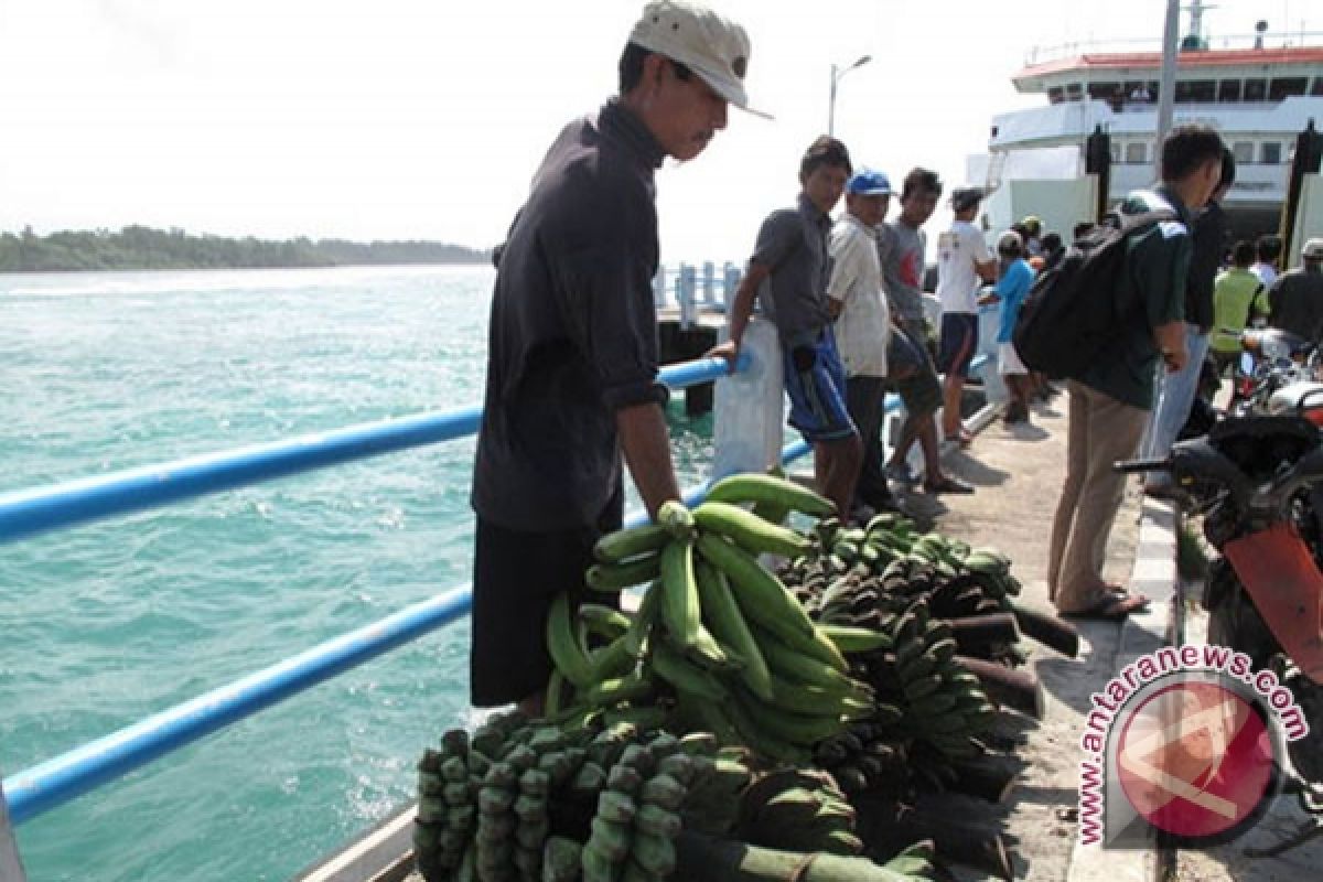Warga Enggano keluhkan harga pisang anjlok
