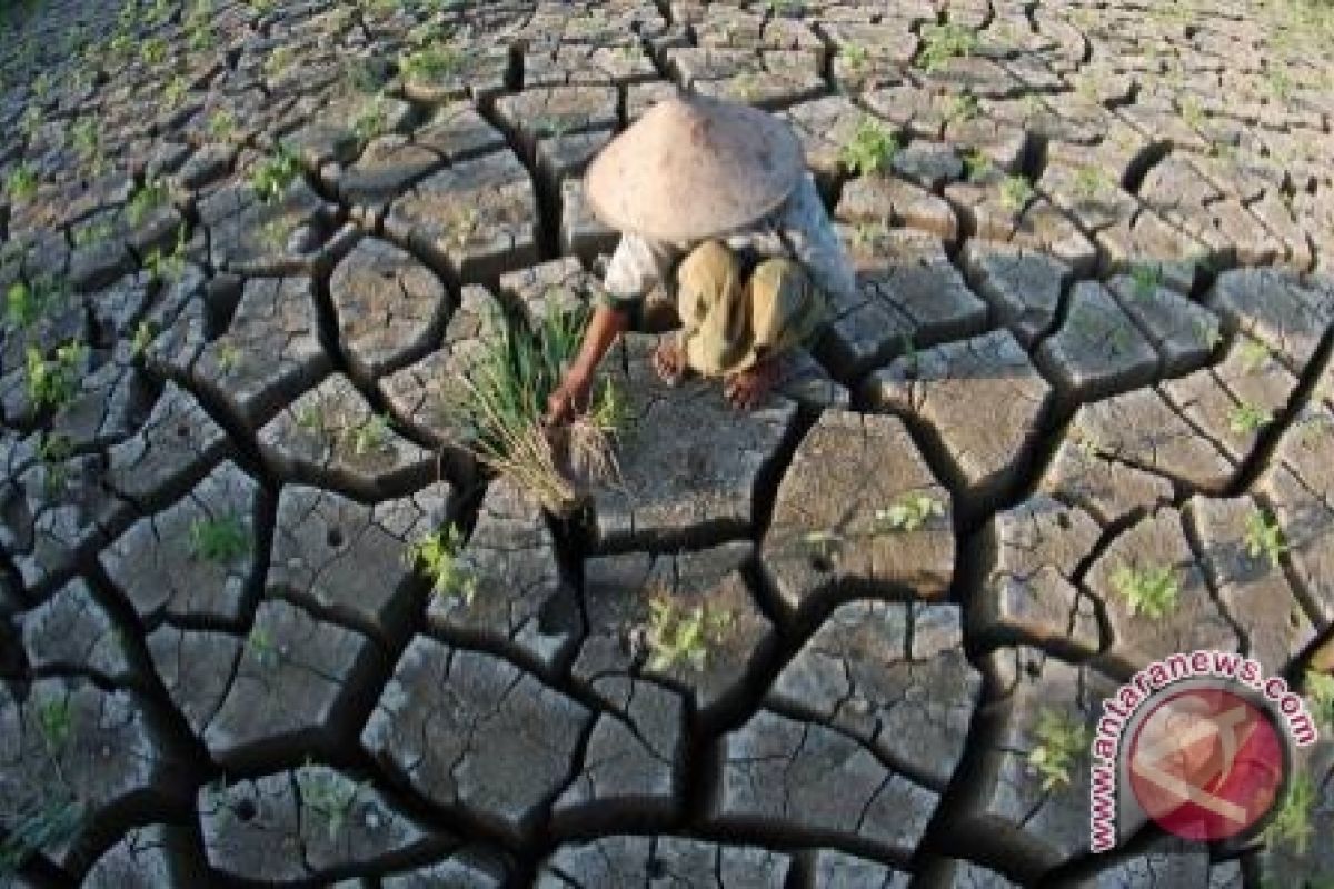 Pemkab tindak lanjuti usulan darurat kekeringan