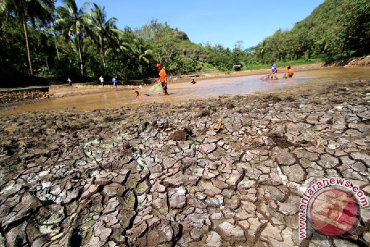 21 kecamatan di Yogyakarta berstatus awas kekeringan