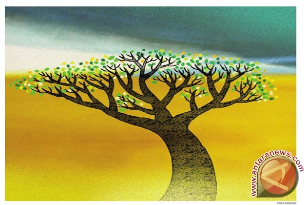 Image Print