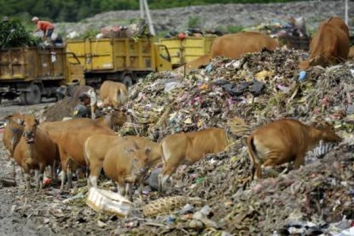 WWF: Kurangi sampah, itu yang terpenting