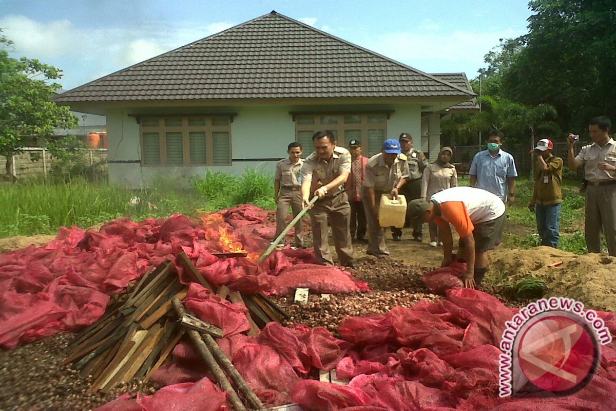 Karantina Pontianak Musnahkan 20 Ton Bawang Merah 