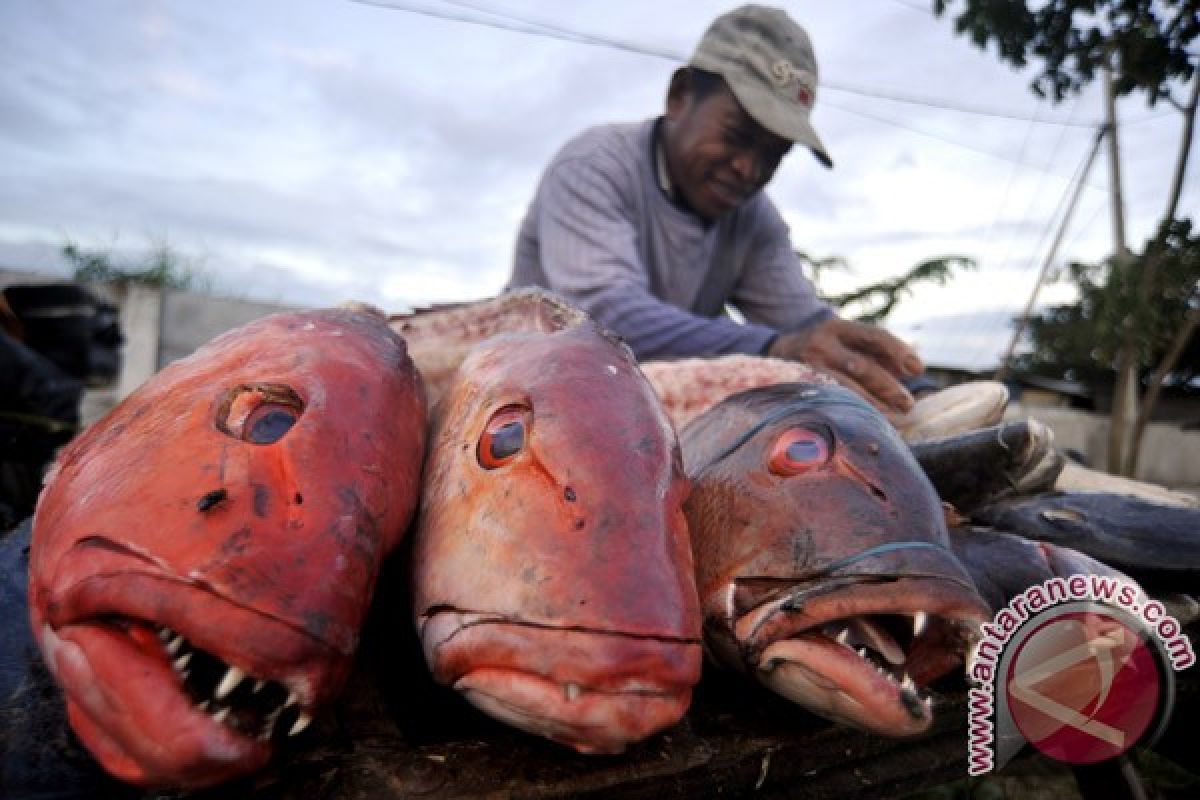 Ministry hails WWF`s guidelines for sustainable fisheries