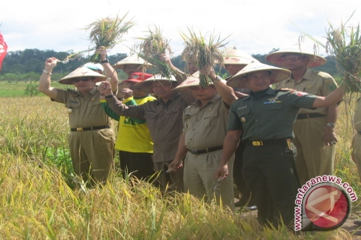 Dinas Pertanian Berau Mulai Jalankan 