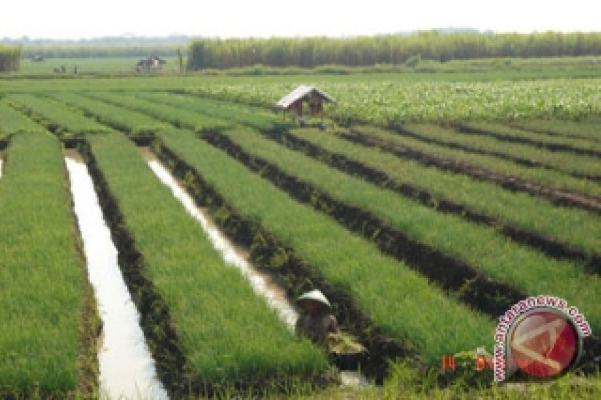 Kelompok tani olah lahan tandus jadi produktif