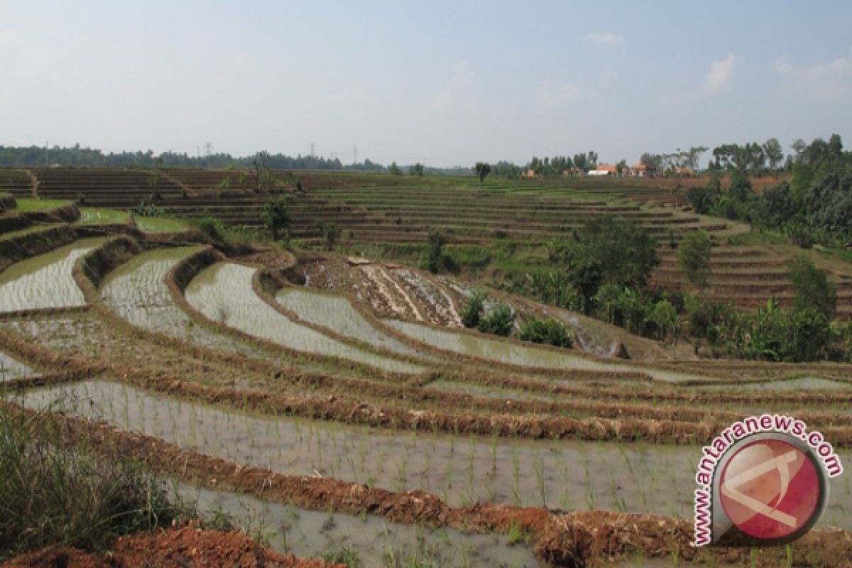 Pemkot Metro Lampung kembangkan wisata keluarga