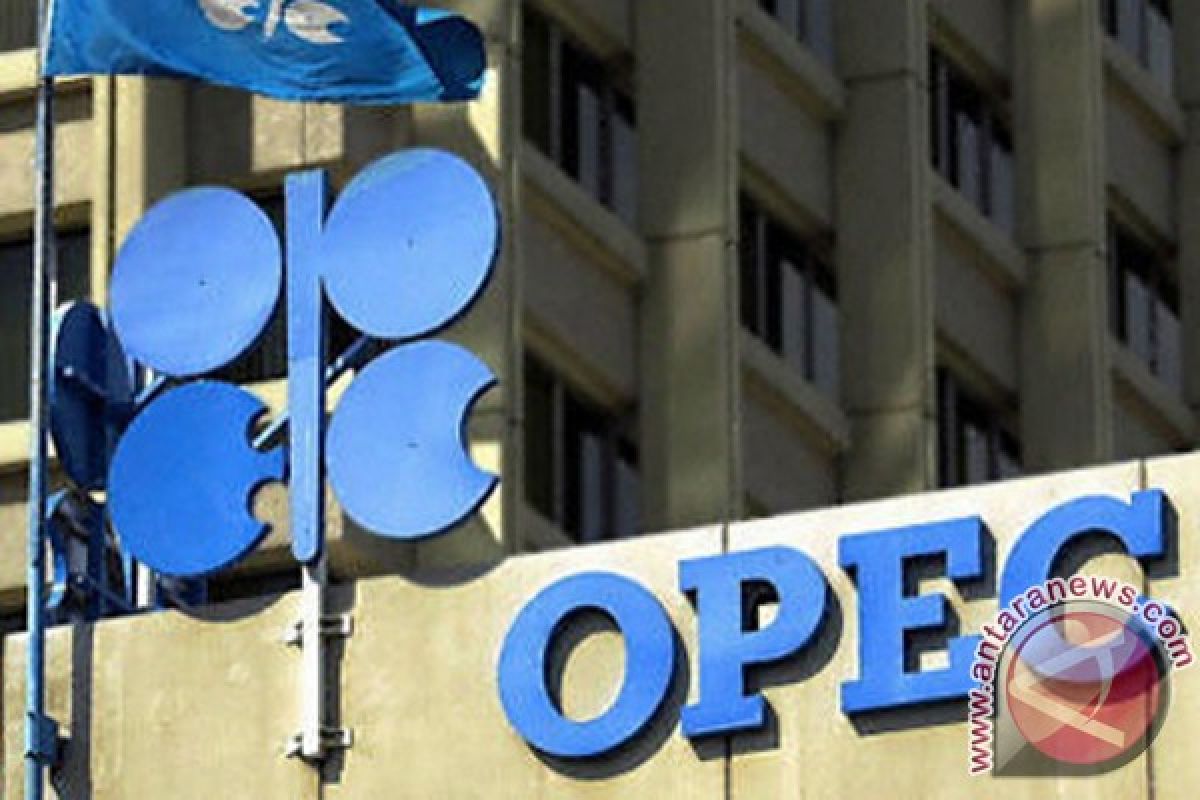 Minyak jatuh meski OPEC peringatkan pasokan bakal berkurang