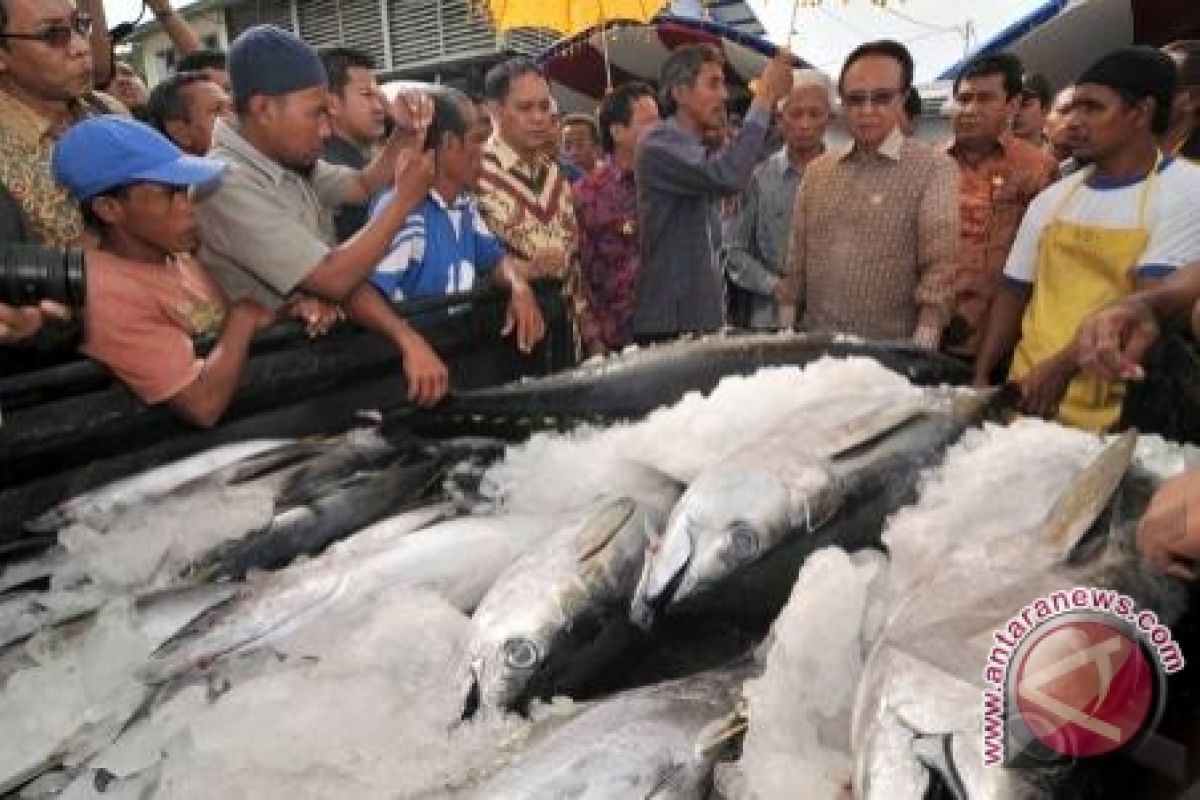 Bulog Sulteng Jual Ikan Tuna 1,5 Ton 