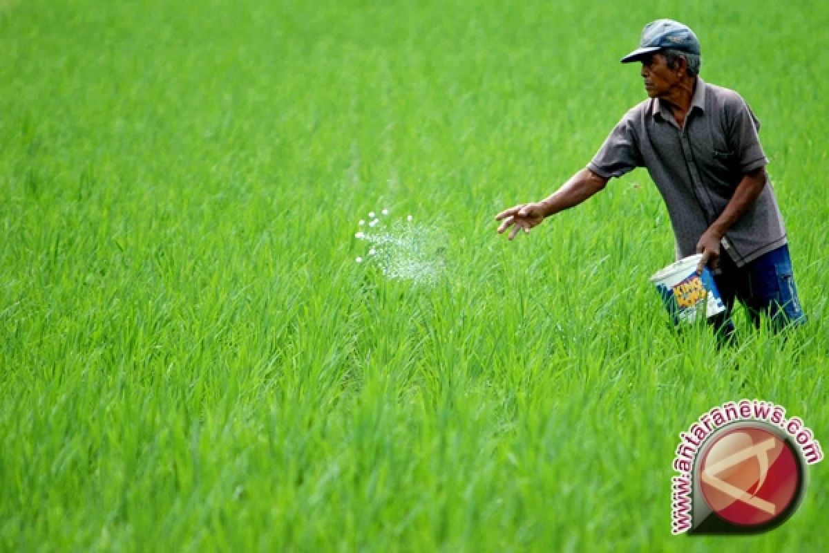 Bupati: pembangunan pertanian Sleman diarahkan pada agribisnis