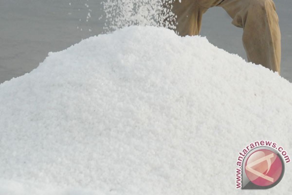Tiga perusahaan beli garam rakyat di Sumenep