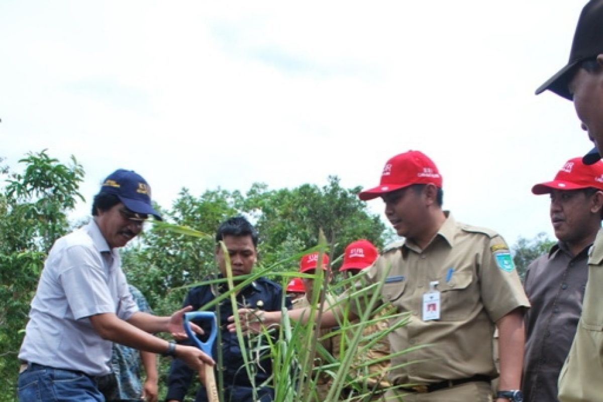 ADVERTORIAL - Karet Dan Kelapa Sawit Primadona Petani Tanbu