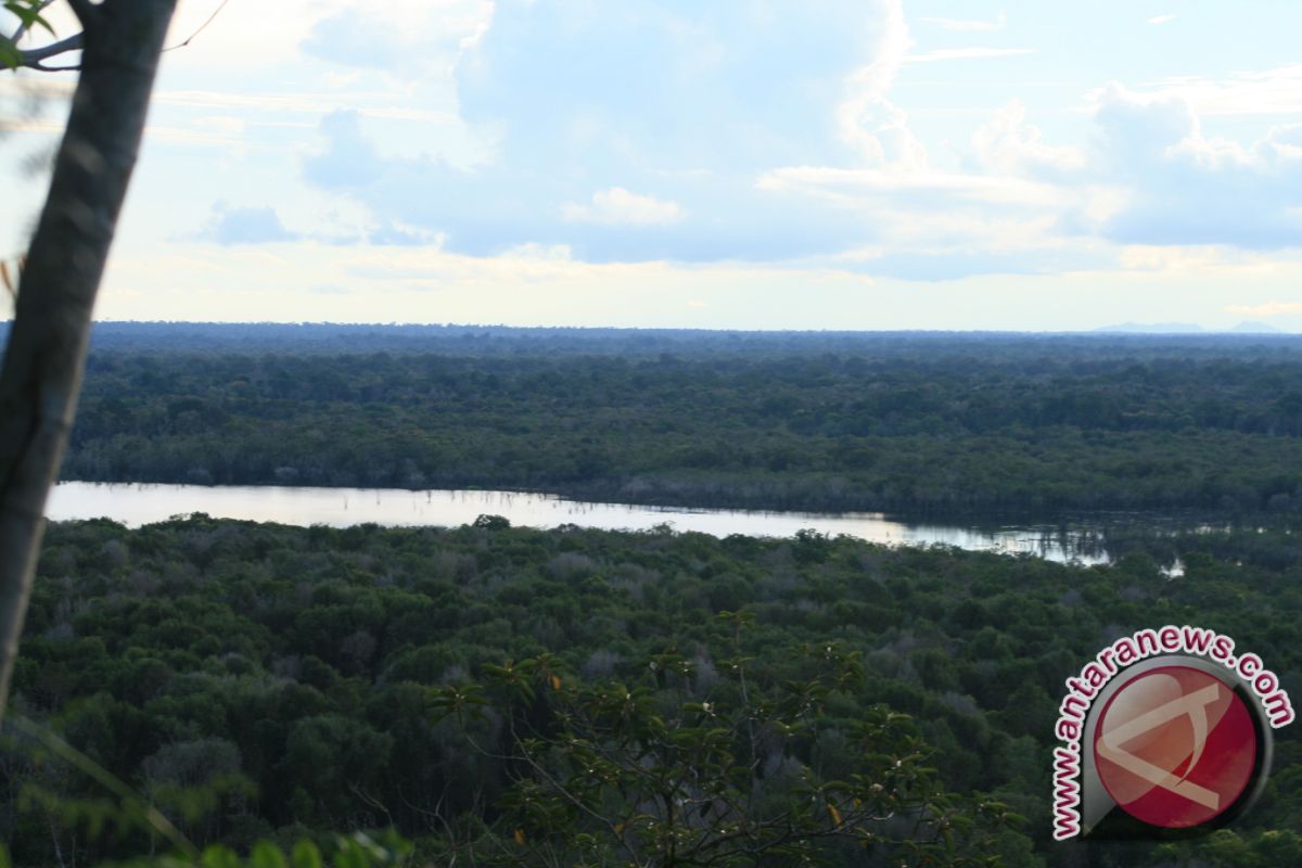 Kebakaran Lahan di Sekitar Danau Sentarum Kembali Terjadi 