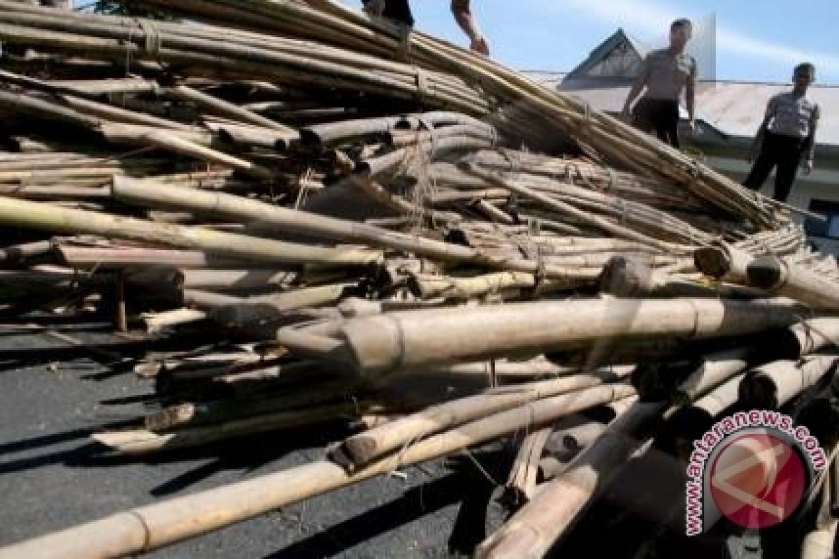 10 ton rotan ilegal diamankan di Bangko