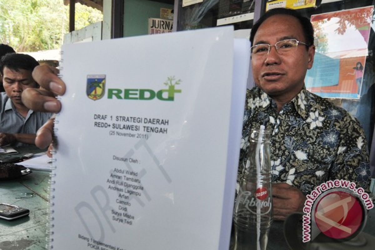 REDD+ working unit urges Indonesia govt to extend forest moratorium