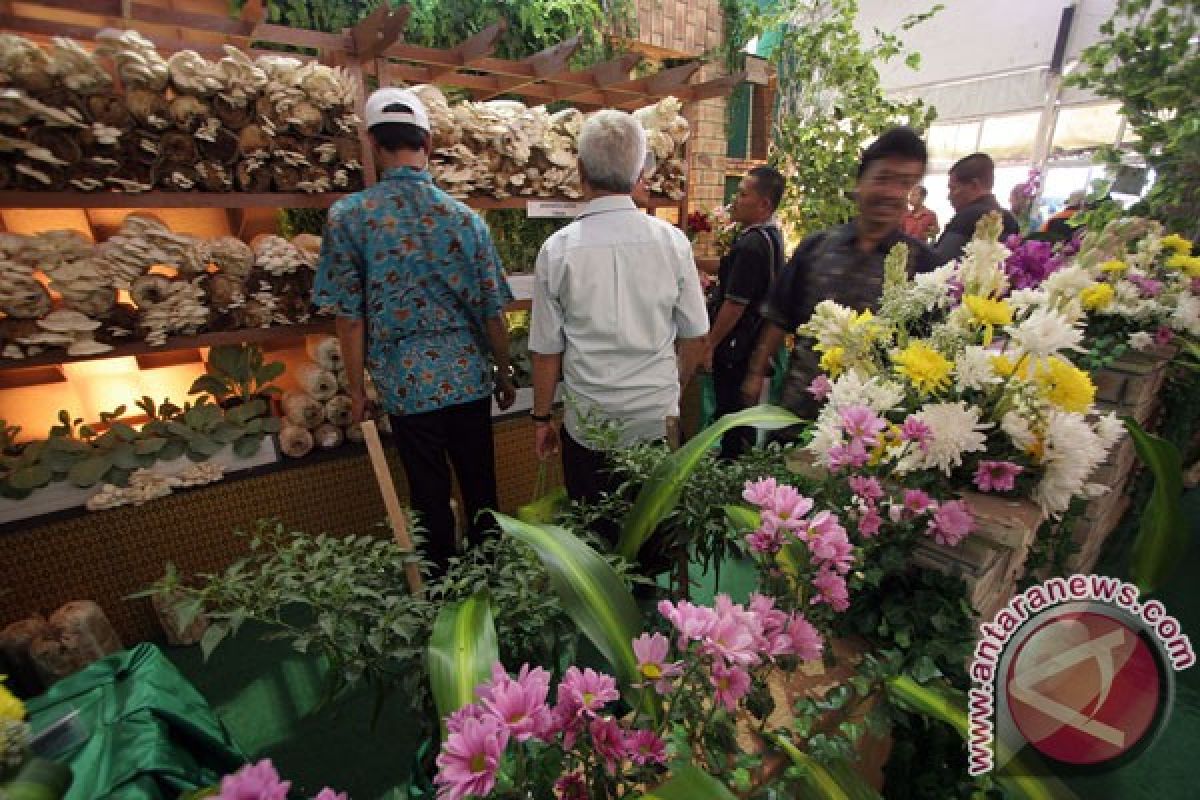 Petani holtikultura di Sulawesi Utara paling sejahtera