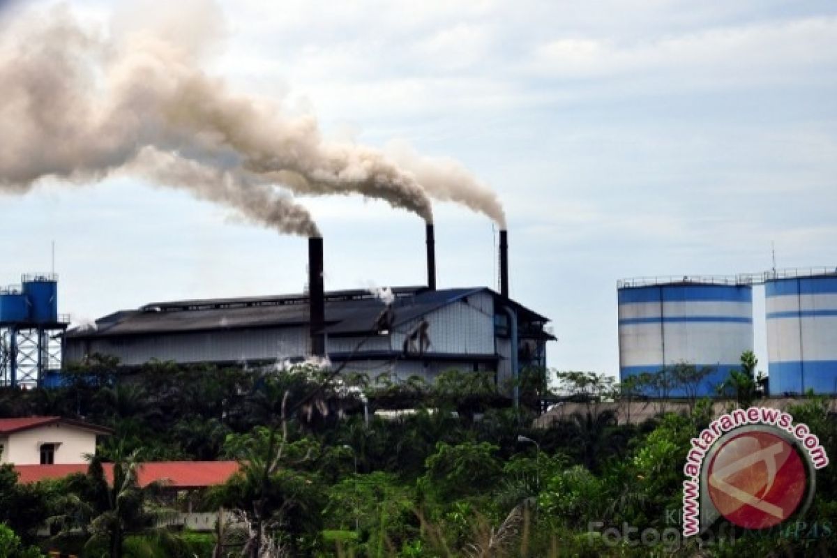 Izin perusahaan kelapa sawit diperketat