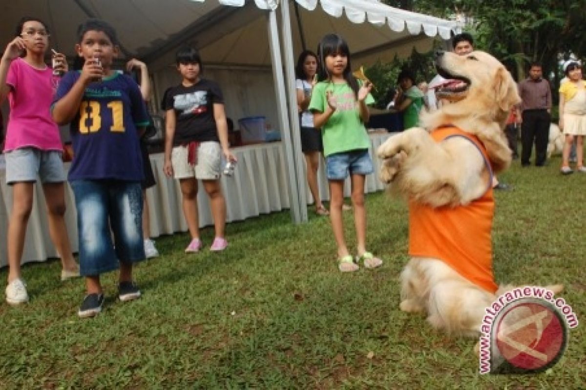 Riset: Anjing Juga Bisa Cemburu 