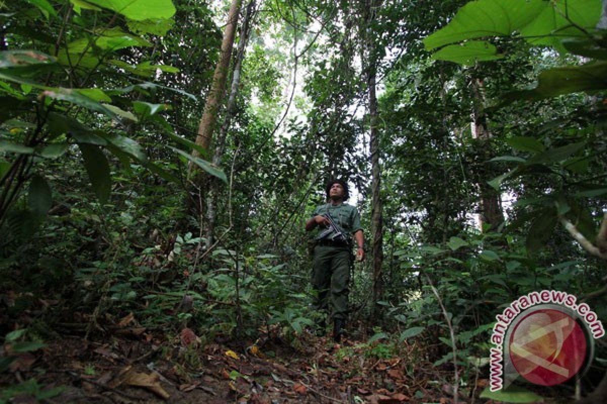Pemerintah diminta menjaga kawasan hutan terlantar