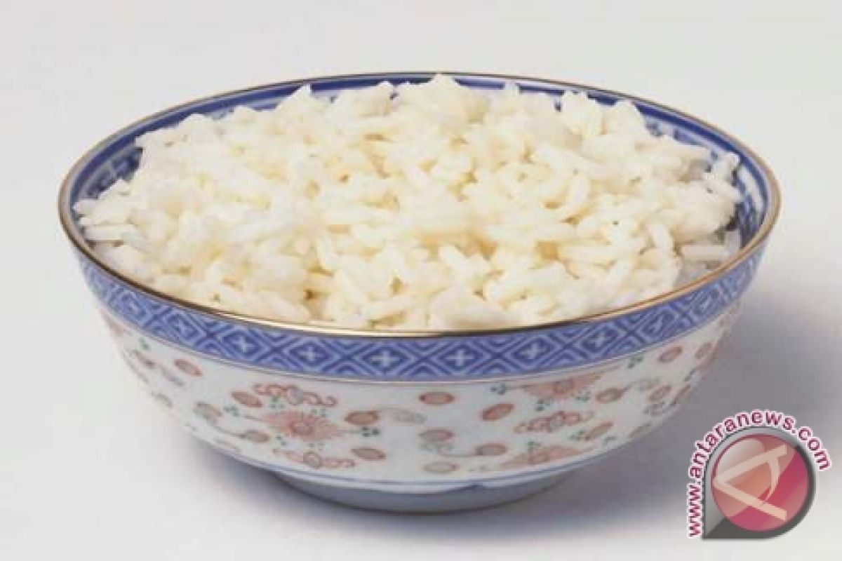Konsumsi beras warga Bengkulu menyusut 9,23 persen