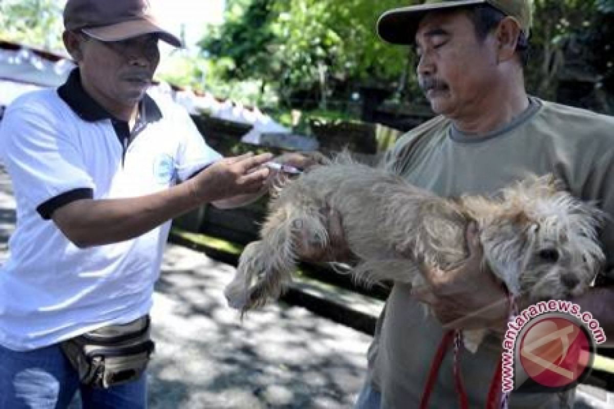 Distanakkan Kalsel Eliminasi 36 Ekor Anjing Liar