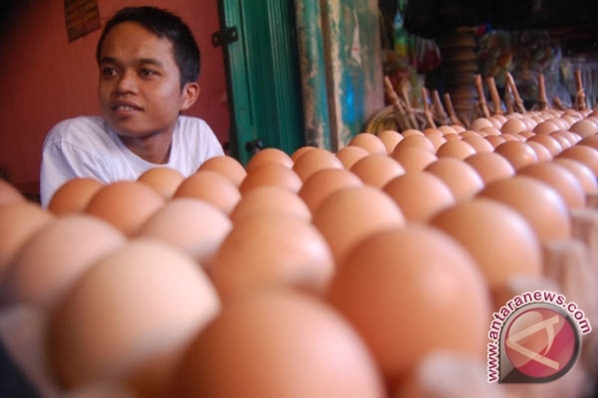 Suplemen dilarang menyebabkan naiknya harga telur