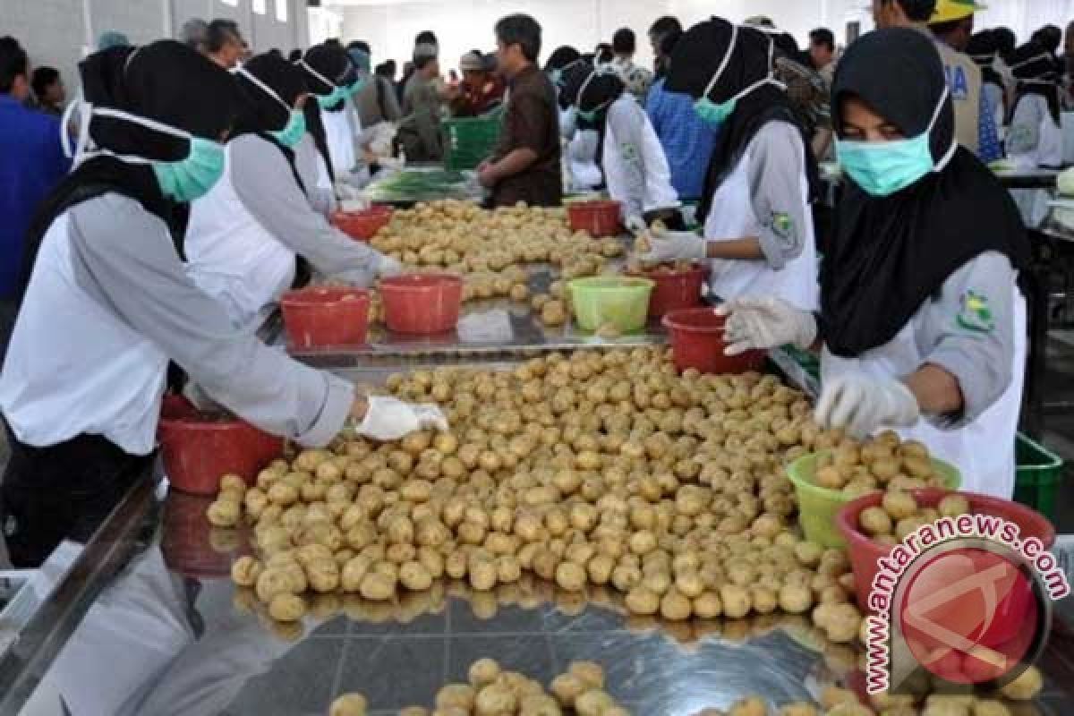 Ekspor kentang ke Singapura-Malaysia meningkat