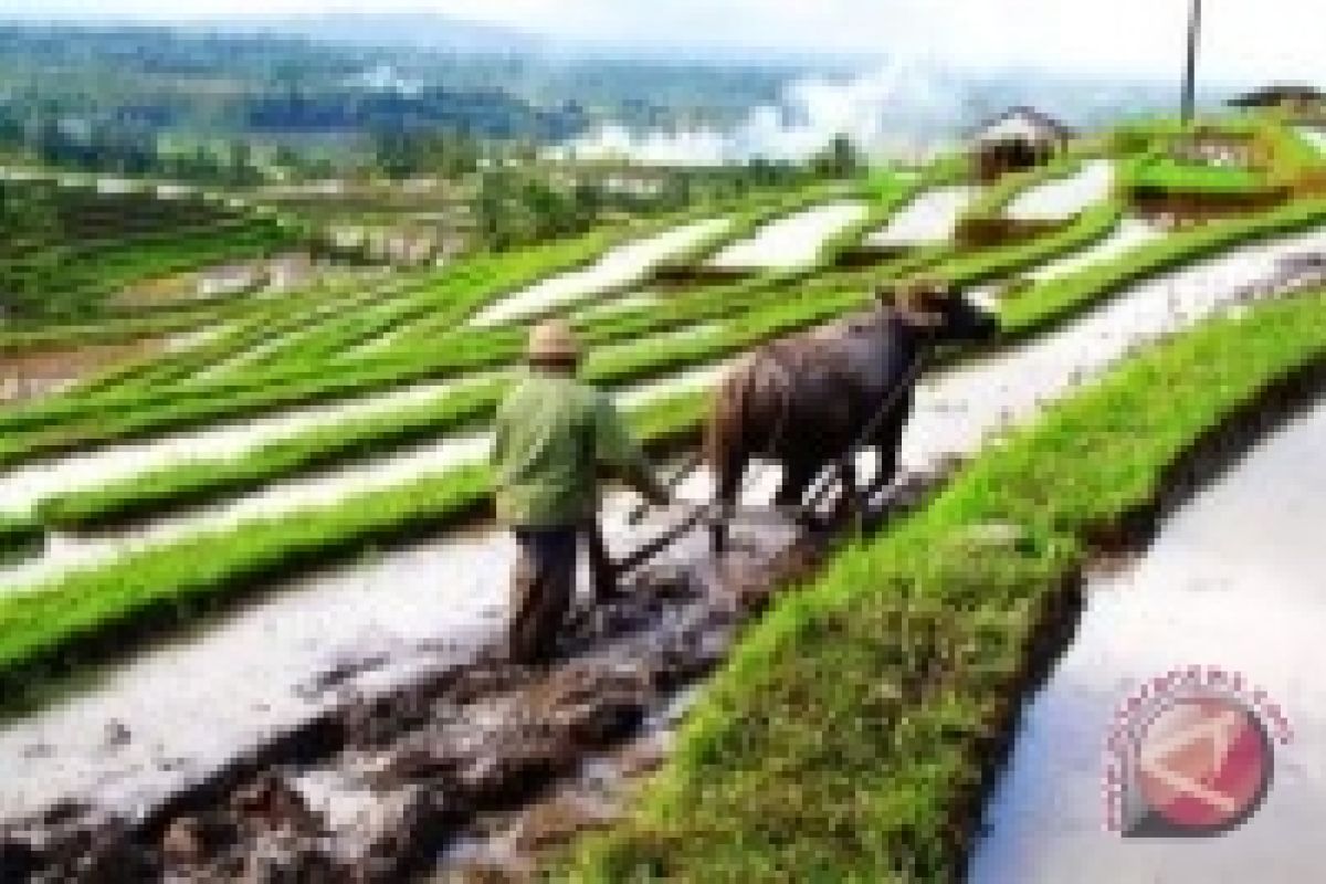 "Joglo Tani" Sleman jauhkan petani dari ketergantungan 