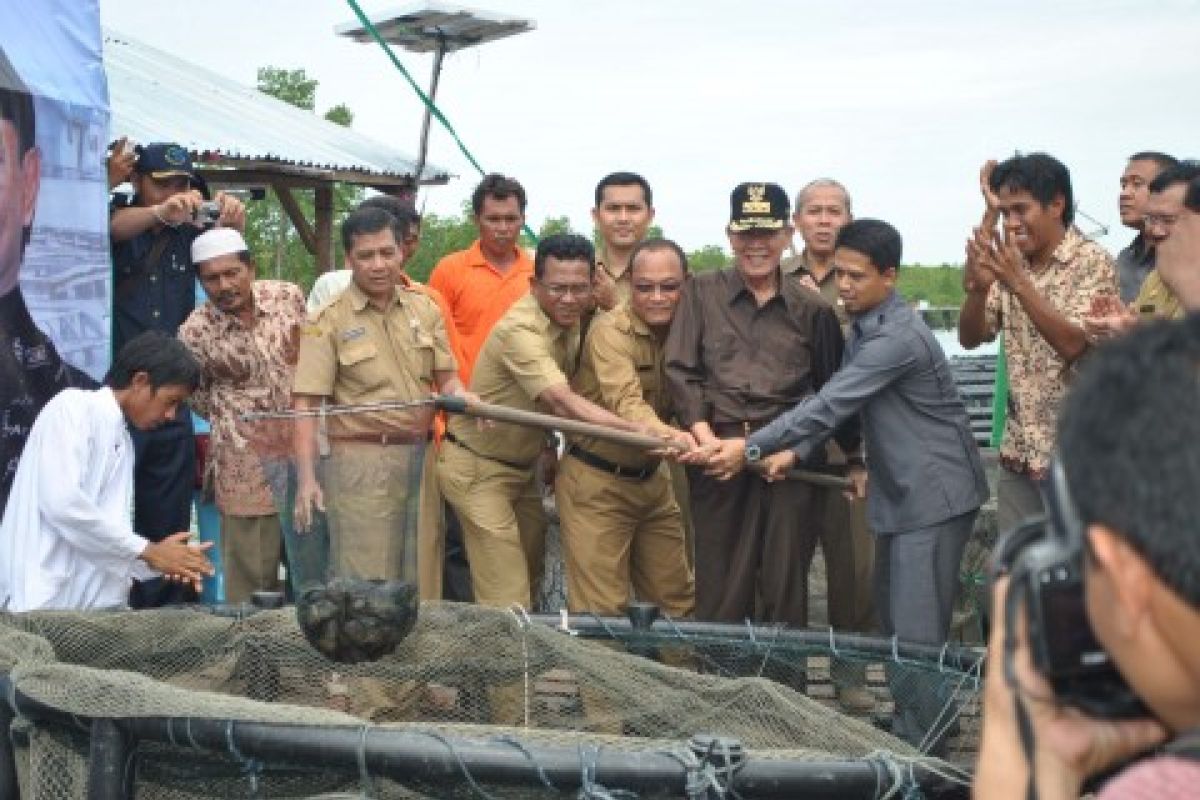 Gubernur Kepri Panen Perdana Kerapu Nelayan Karimun