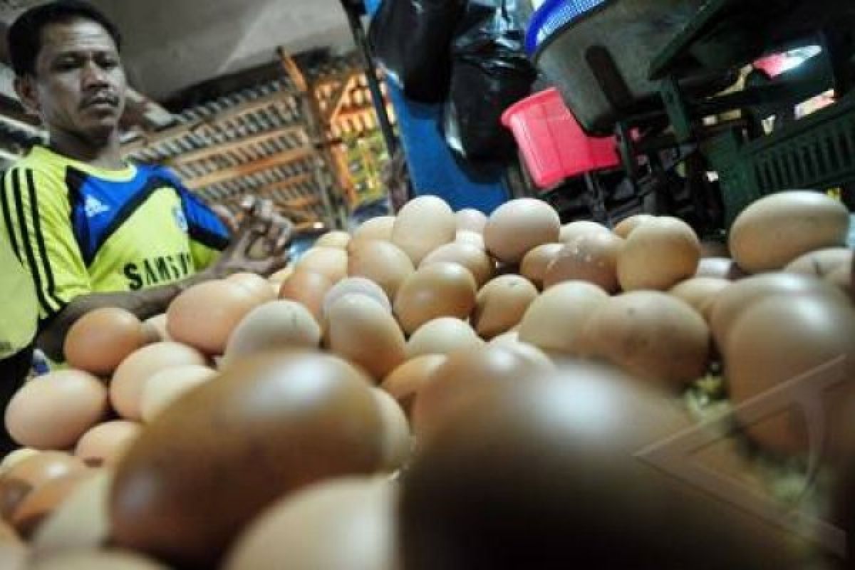 Stok Sembako Aman