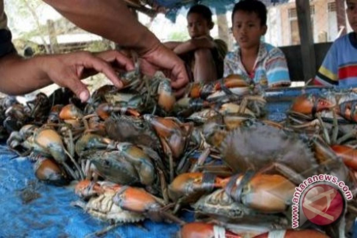 Kepiting bakau dikembangkan untuk kesejahteraan warga