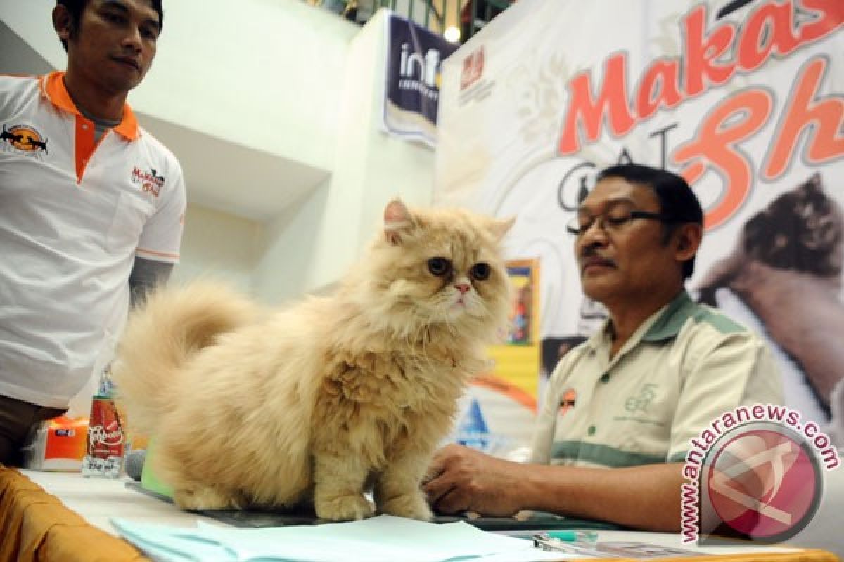 Binatang peliharaan bisa cegah sakit jantung