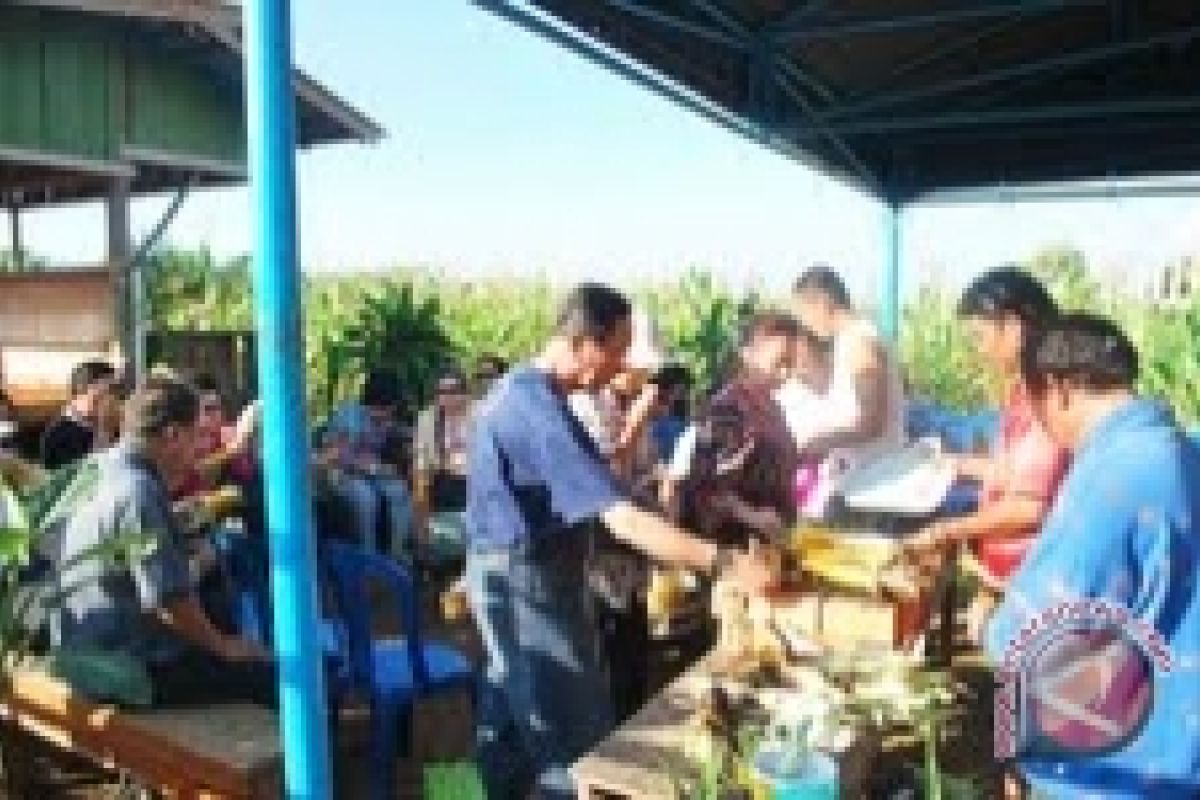 Wisatawan Tiongkok berkontribusi 15,82 persen      