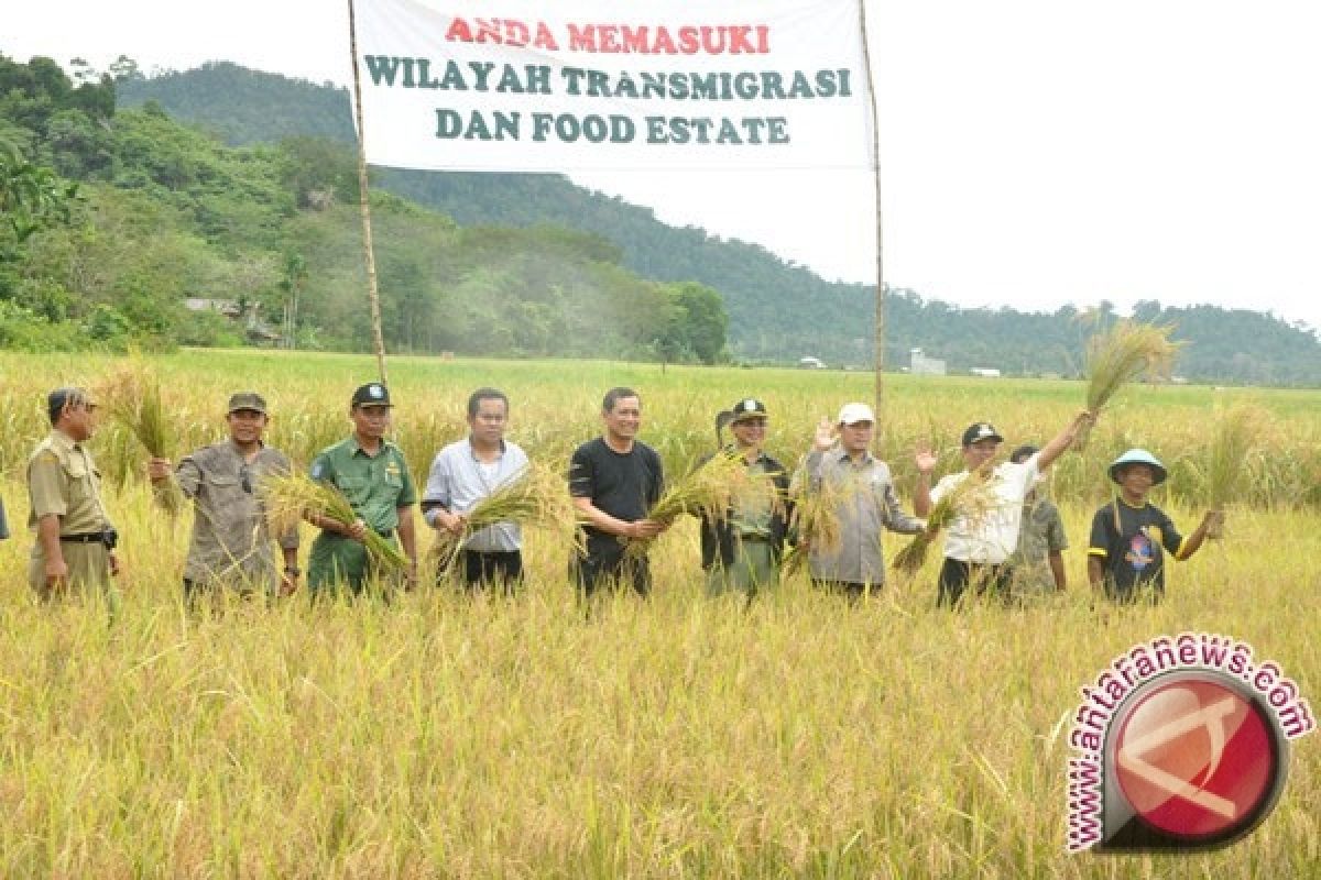 Produksi Padi dan Jagung Kalbar Meningkat